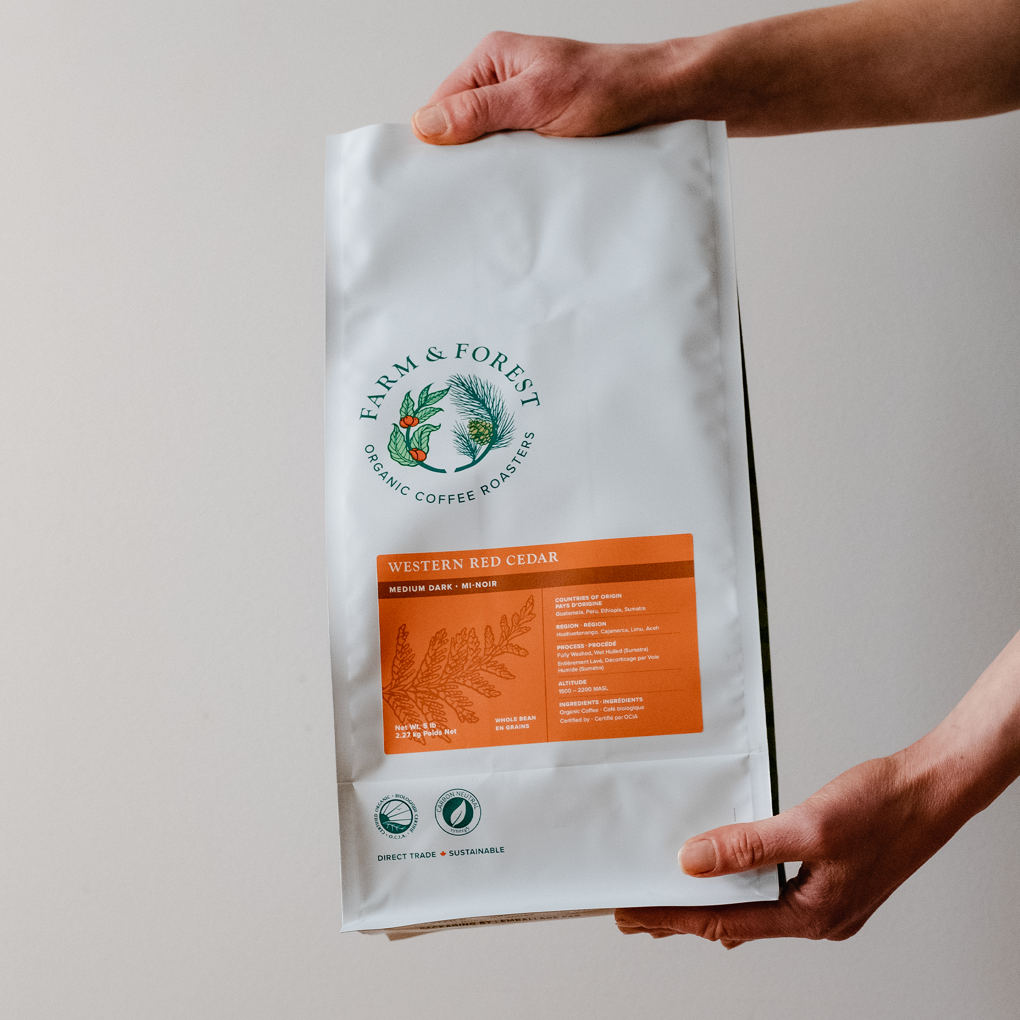 Organic Western Red Cedar Coffee