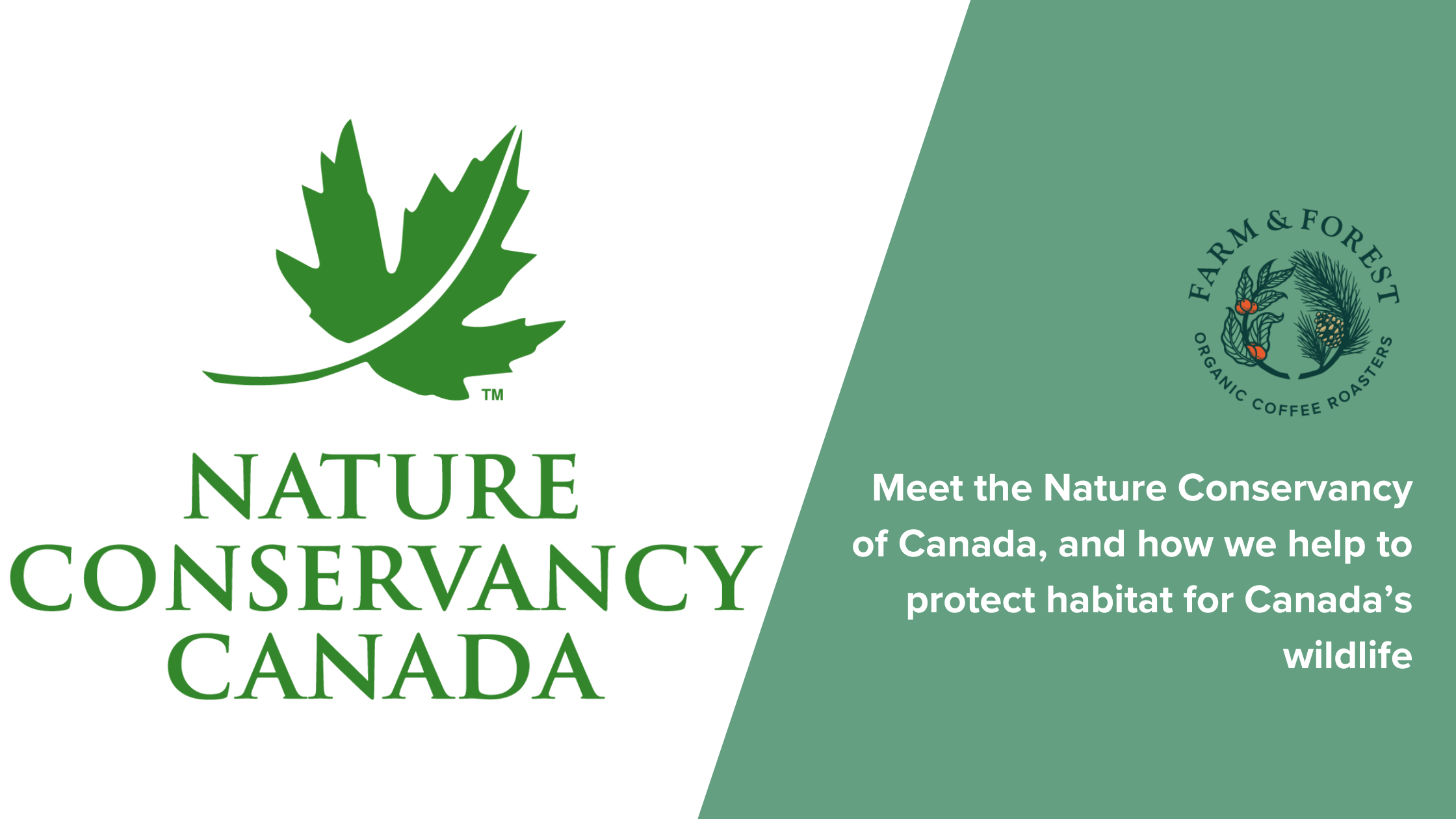 Meet the Nature Conservancy of Canada, and how we help to protect habitat for Canada’s wildlife