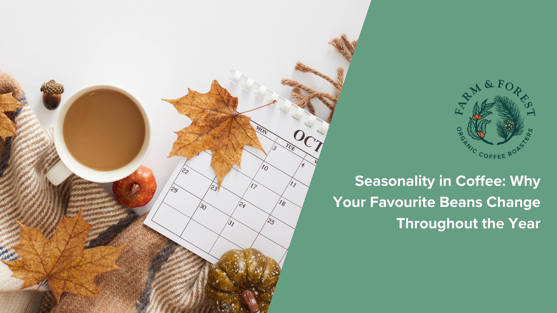 Seasonality in Coffee: Why Your Favourite Beans Change Throughout the Year