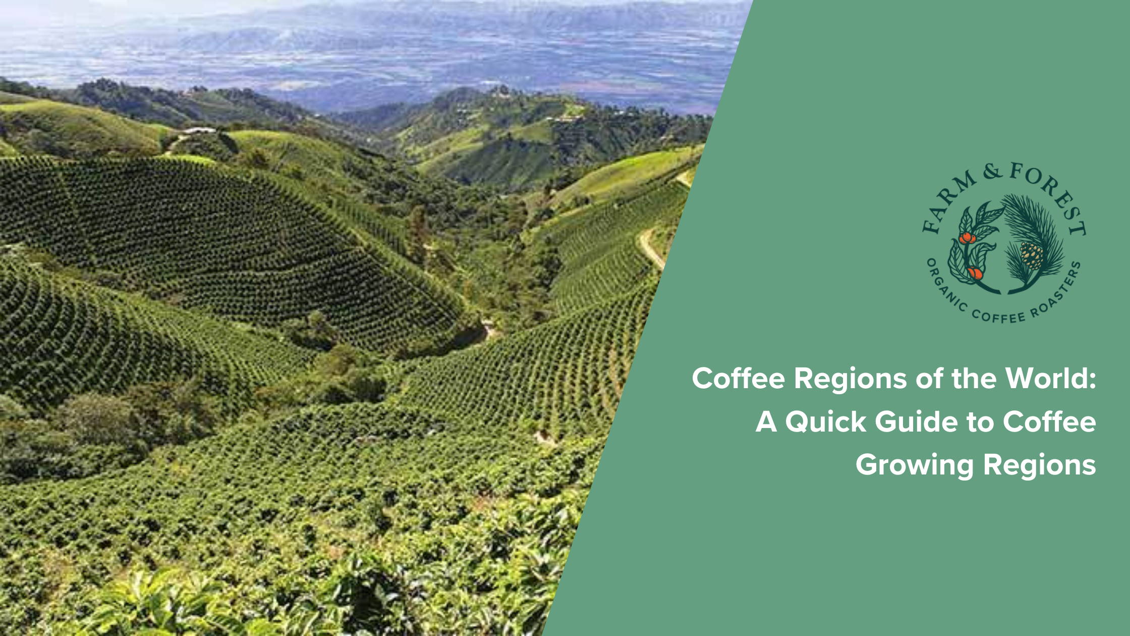 Coffee Regions of the World: A Quick Guide to Coffee Growing Regions