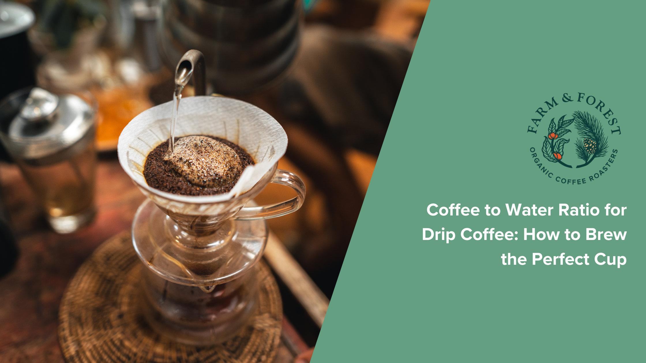 Coffee to Water Ratio for Drip Coffee: How to Brew the Perfect Cup
