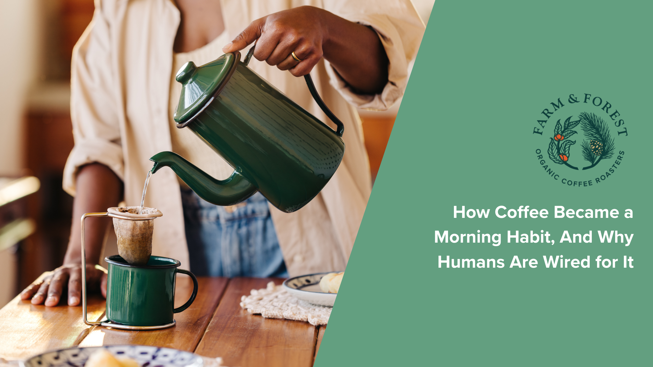 How Coffee Became a Morning Habit, And Why Humans Are Wired for It