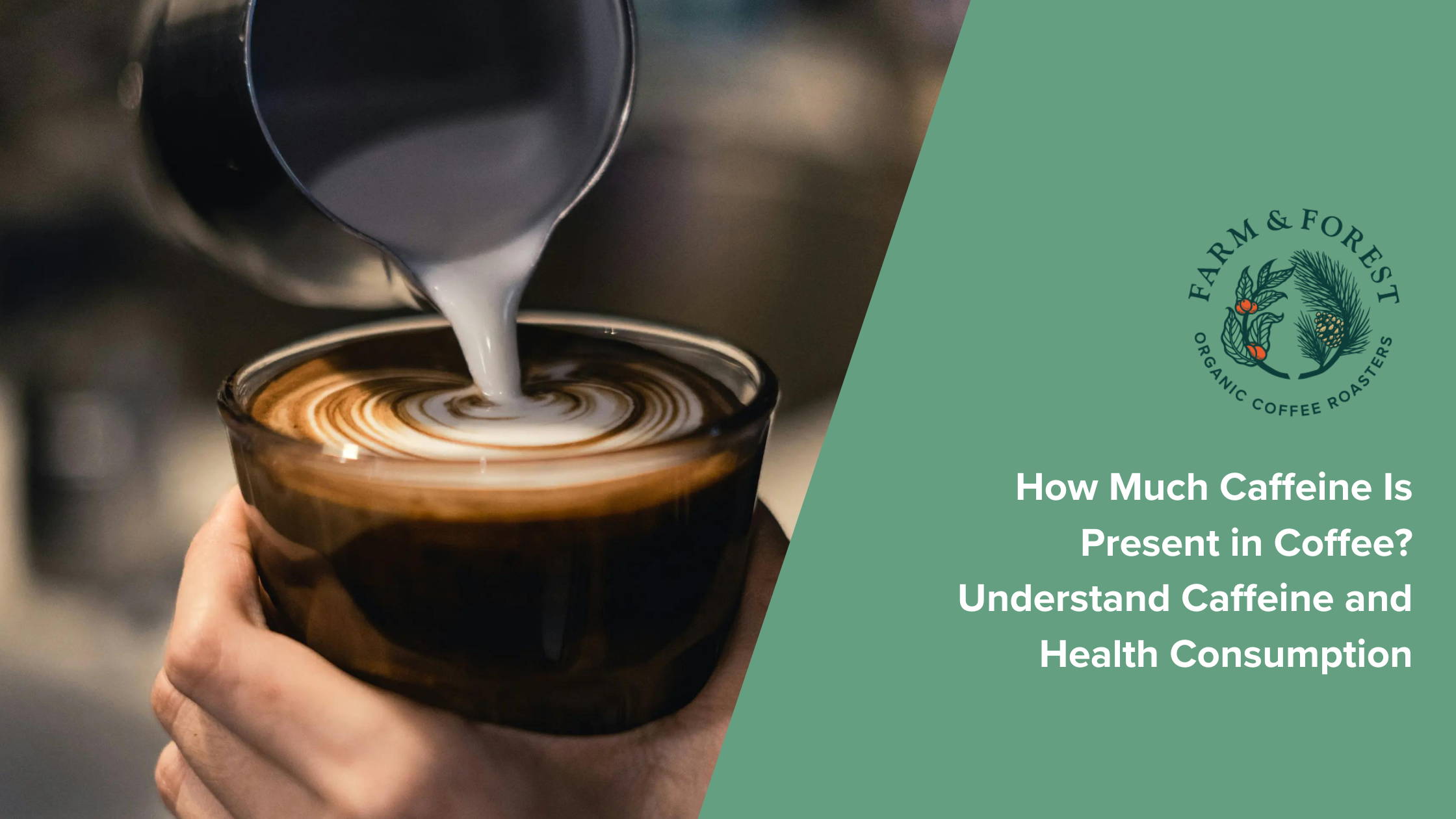 How Much Caffeine Is Present in Coffee? Understand Caffeine and Health Consumption