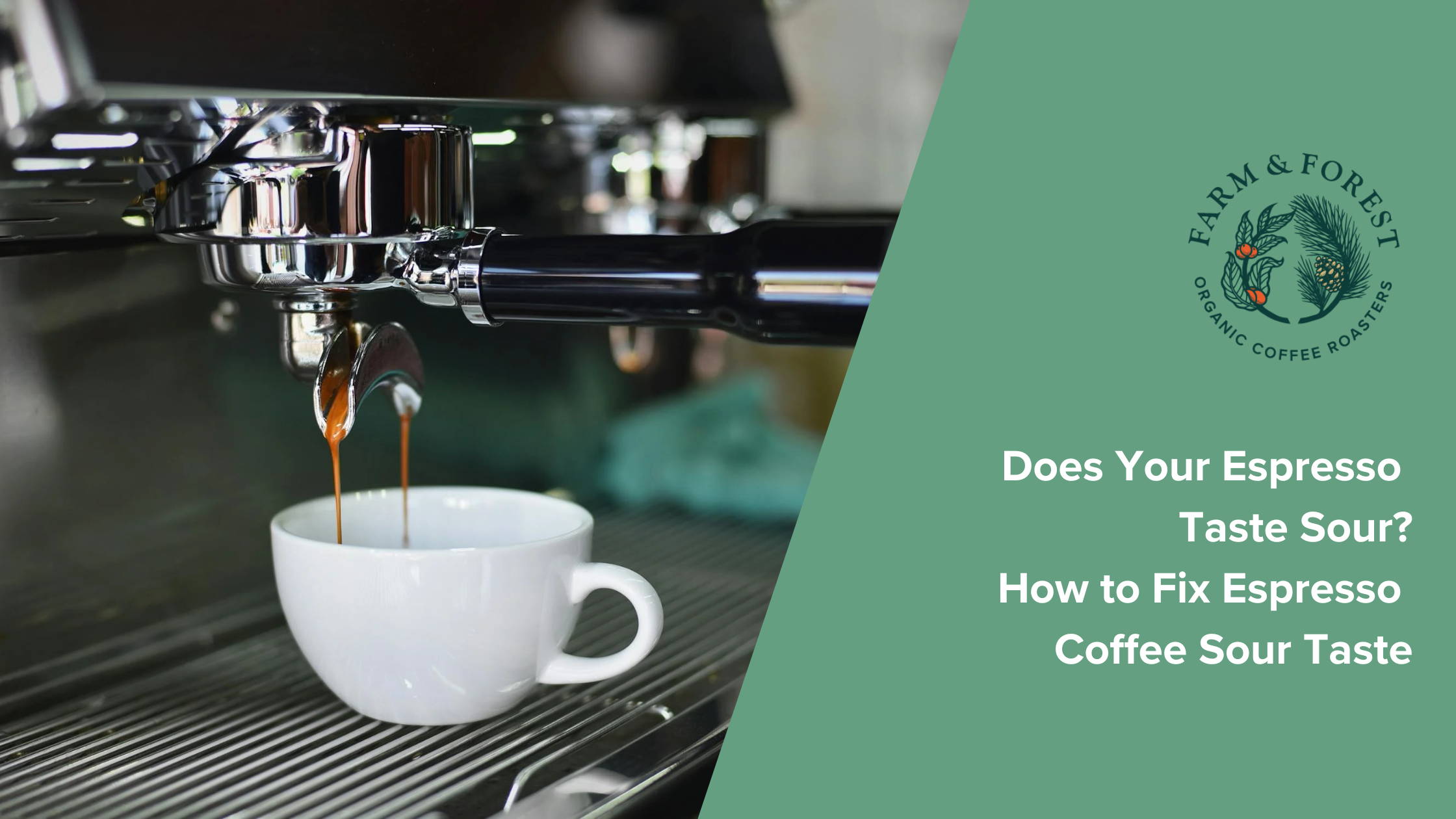 Does Your Espresso Taste Sour? How to Fix Espresso Coffee Sour Taste