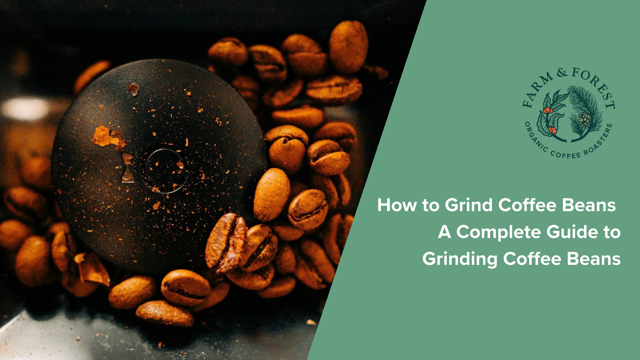 How to Grind Coffee Beans, A Complete Guide to Grinding Coffee Beans