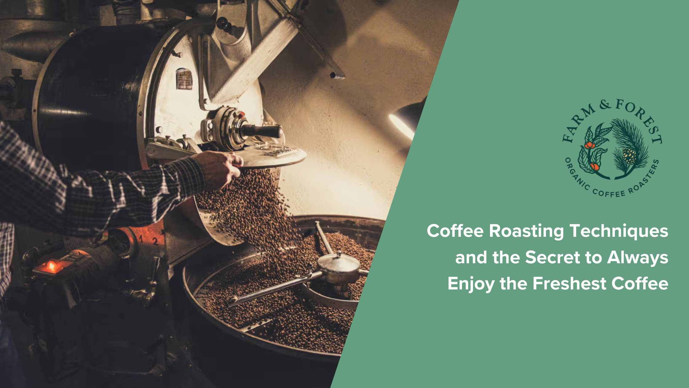 Coffee Roasting Techniques and the Secret to Always Enjoy the Freshest Coffee